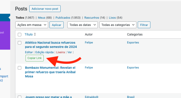 Plugin Botão de Cópia de Link do Post no WordPress